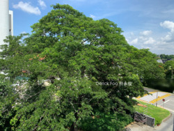 Seletar Park Residence (D28), Condominium #242839291
